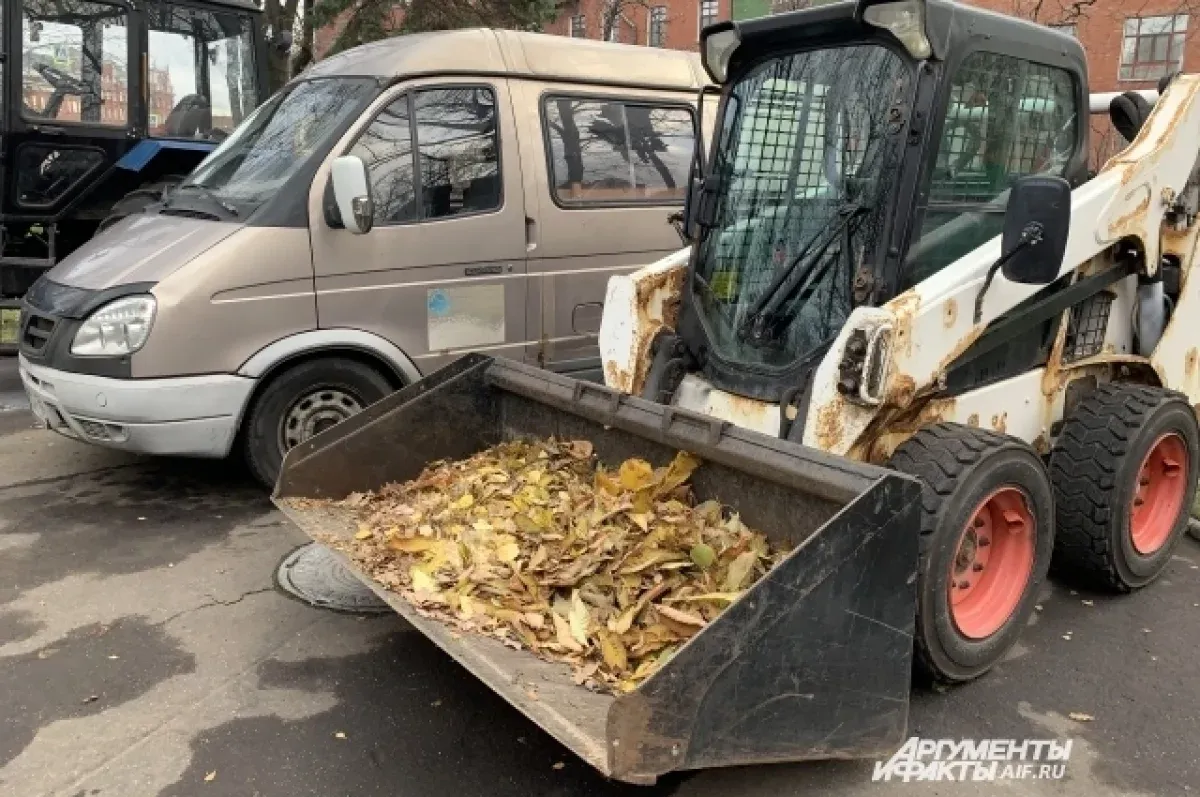 Почти тысяча работников убирали Вологду за день