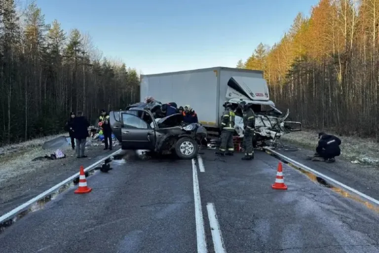 Под Великим Устюгом в лобовом ДТП погиб водитель пикапа