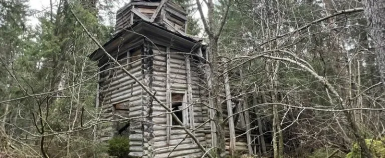На Сойдозере нашли заброшенную церковь, скрытую лесом
