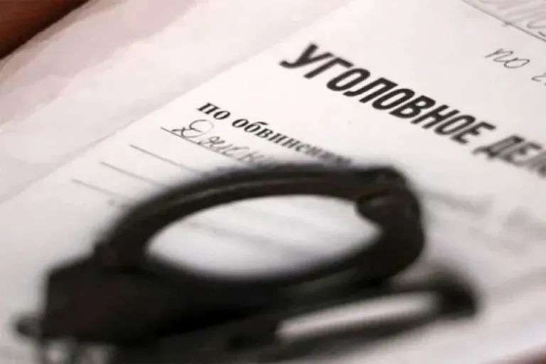 В Вытегре мужчину обвиняют в истязании жены черенком топора
