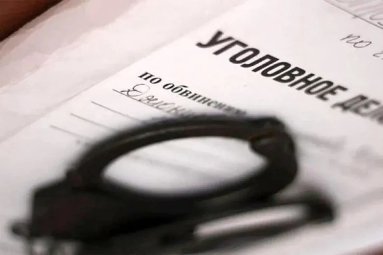 В Вытегре мужчину обвиняют в истязании жены черенком топора