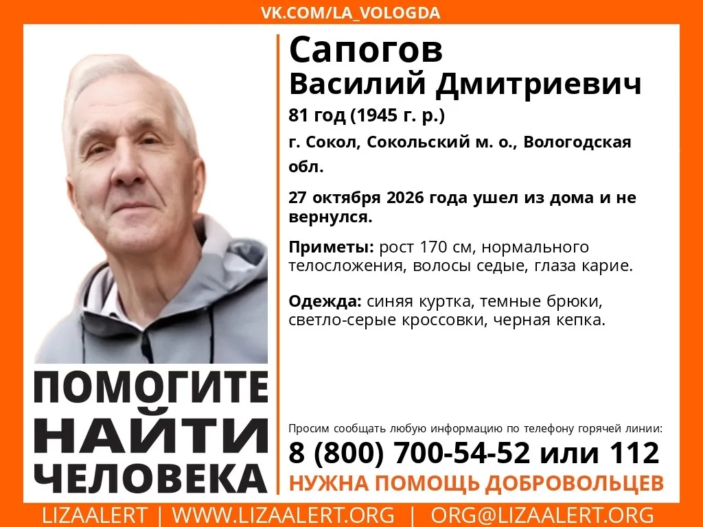 В Соколе ищут пропавшего 81-летнего Василия Сапогова
